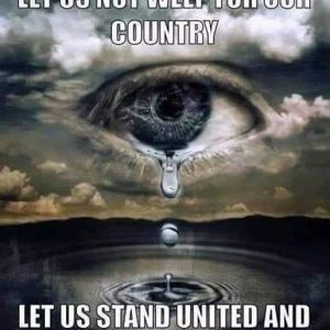 Meet your Posher, Robin